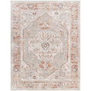 Ramia Traditional Cream/Slate Area Rug
