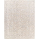Sholom Traditional Light Silver Area Rug
