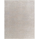Janeth Traditional Sterling Grey Area Rug