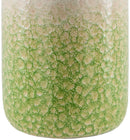 Dameion Global Green Table Lamp
