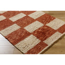 Lima Modern Clay Area Rug