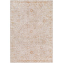 Cassy Traditional Tan Area Rug