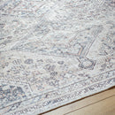 Eleni Traditional Gray Washable Area Rug - Vivir x Livabliss
