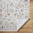 Stevenson Traditional Ivory Washable Area Rug