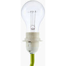 Katoya Cottage Green Table Lamp