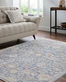 Joya Traditional Denim Area Rug