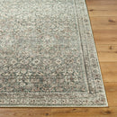 Collins Avenue Traditional Rust/Brown Area Rug - Galey Alix Livabliss