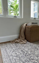 Collins Avenue Traditional Gray/Cream Area Rug - Galey Alix Livabliss