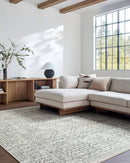 Collins Avenue Traditional Gray/Cream Area Rug - Galey Alix Livabliss