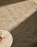 Fetscher Traditional Light Beige Area Rug - Galey Alix Livabliss