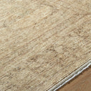 Fetscher Traditional Tan Area Rug - Galey Alix Livabliss