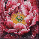 Main Bead Embroidery Kit - Dew's Kiss AB-951