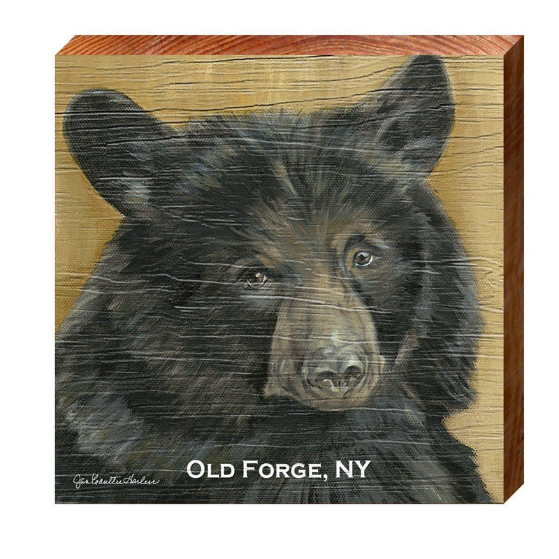 Old Forge, NY Black Bear | Wall Art Print on Real Wood