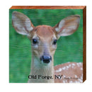 Old Forge, NY Kathy Miller's Deer | Wall Art Print on Real Wood