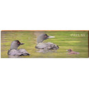 Inlet, NY Loons with Chick | Wall Art Print on Real Wood