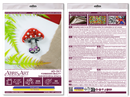Bead Embroidery kit - Decoration - Forbidden Beauty AD-241