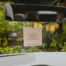Coastal Lemon Hanging Air Freshener
