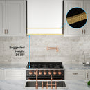 Akicon 30" Stainless Steel Wall Mount Range Hood with 600 CFM Vent Hood