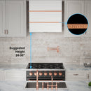 Akicon 30" Stainless Steel Wall Mount Range Hood with 600 CFM Vent Hood
