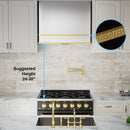 Akicon 36" Stainless Steel Wall Mount Range Hood with 600 CFM Vent Hood