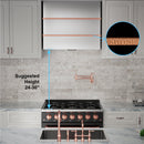 Akicon 36" Stainless Steel Wall Mount Range Hood with 600 CFM Vent Hood - AK-HS36HC-BS