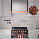 Akicon 36" Stainless Steel Wall Mount Range Hood with 600 CFM Vent Hood - AK-HS36HD-BS