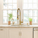 One-Handle Pre-Rinse Spring Brushed Gold Kitchen Faucet - AK96566-BTG