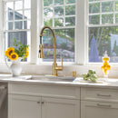 One-Handle Pre-Rinse Spring Brushed Gold Kitchen Faucet - AK96566-BTG