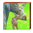 Moose and Calf | Wall Art Print on Real Wood