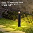 ALP14 12-Pack 4W 3000K Warm White Integrated LED 12V Low Voltage Pathway Lighting Package, AC/DC Landscape Driveway Lights