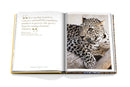 Arabian Leopard - Book