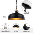 Ambert 1-Light Black Rustic Metal Dimmable Island Pendant Light