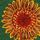 Botanical Applique Felt Kit APPBOT1O