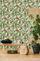 Hand Drawn Cactus with Red Flowers Wallpaper