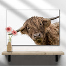 Curious Highland Cow Canvas Wall Art