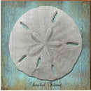 Sanibel Island Sand Dollar Blue | Wall Art Print on Real Wood