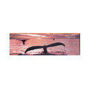 Cape Cod Whale Tail | Real Wood Art Print