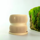 Aureus Planter with Drainage