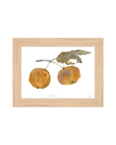 Oranges