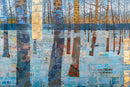 Abundance - Limited Edition Canvas Print