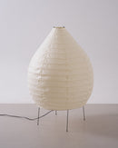 Akari 23N Floor Lamp