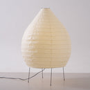 Akari 23N Floor Lamp