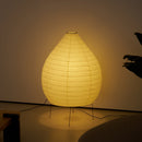 Akari 23N Floor Lamp