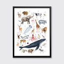 Animal Alphabet - Open Edition Canvas Print