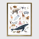 Animal Alphabet - Open Edition Canvas Print