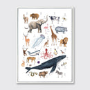 Animal Alphabet - Open Edition Canvas Print