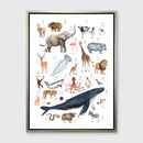 Animal Alphabet - Open Edition Canvas Print