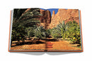 Alula Ever - Book