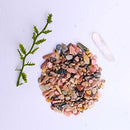 The Angie Hope & Healing Terrarium