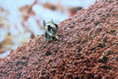 Ant Lapel Pin